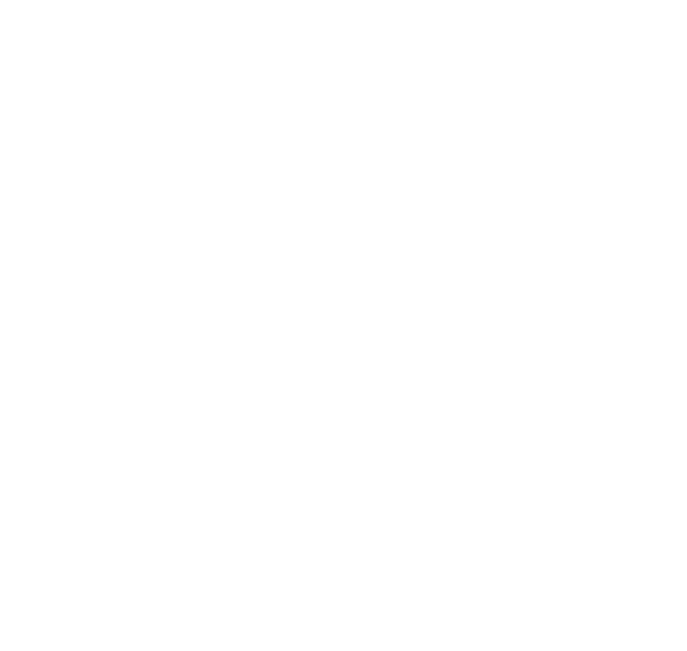 LINGZONEロゴ